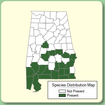 Species Distribution Map