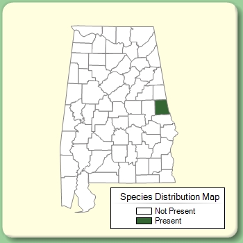 Species Distribution Map