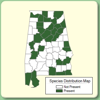 Species Distribution Map