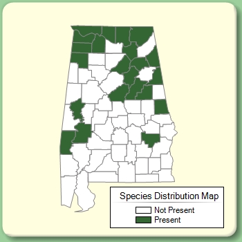 Species Distribution Map