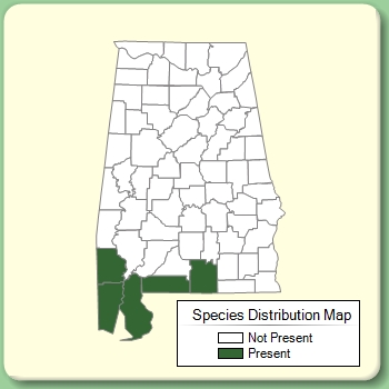 Species Distribution Map