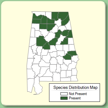 Species Distribution Map