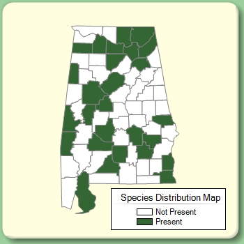 Species Distribution Map