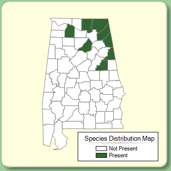 Species Distribution Map