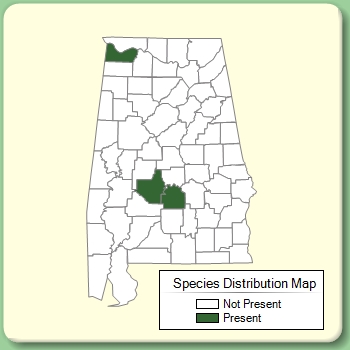 Species Distribution Map