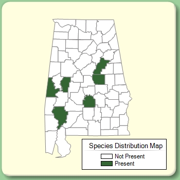 Species Distribution Map