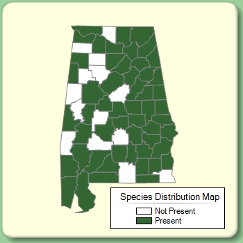 Species Distribution Map