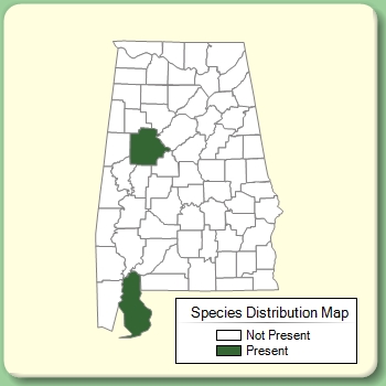 Species Distribution Map