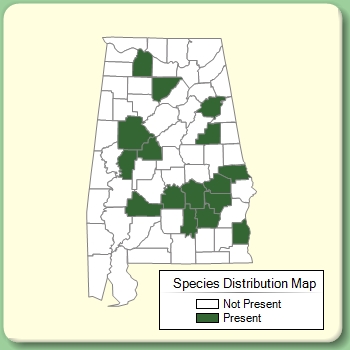 Species Distribution Map