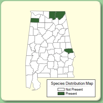 Species Distribution Map