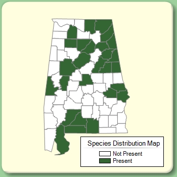 Species Distribution Map