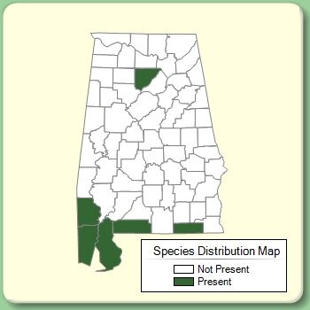 Species Distribution Map