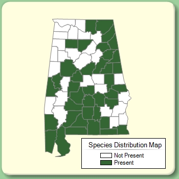 Species Distribution Map