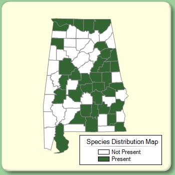 Species Distribution Map