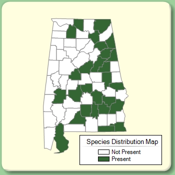 Species Distribution Map