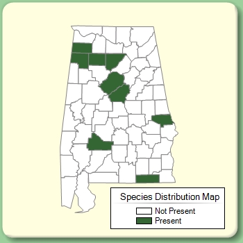 Species Distribution Map