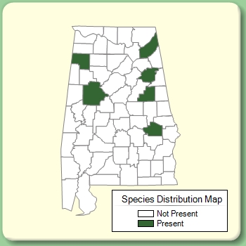 Species Distribution Map