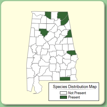 Species Distribution Map