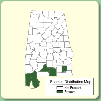 Species Distribution Map