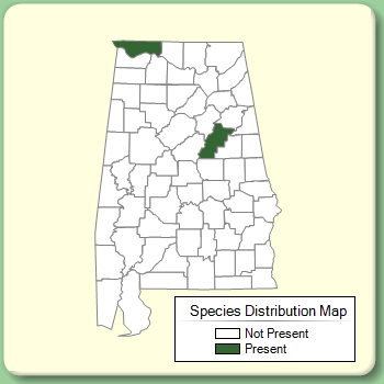 Species Distribution Map