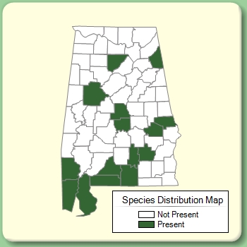 Species Distribution Map