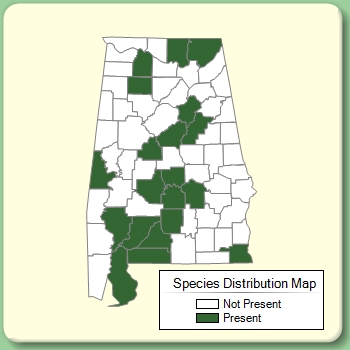 Species Distribution Map