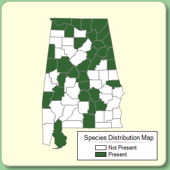 Species Distribution Map