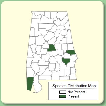 Species Distribution Map