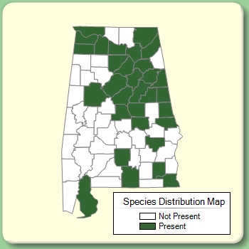 Species Distribution Map