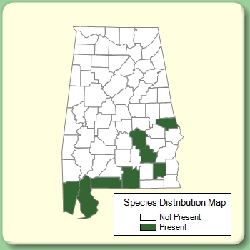 Species Distribution Map