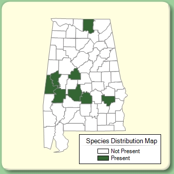 Species Distribution Map