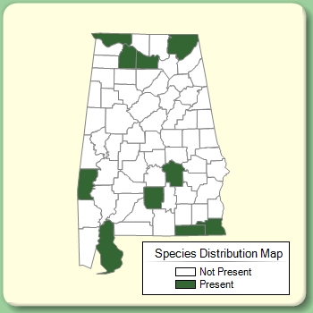 Species Distribution Map