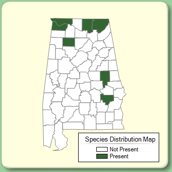 Species Distribution Map