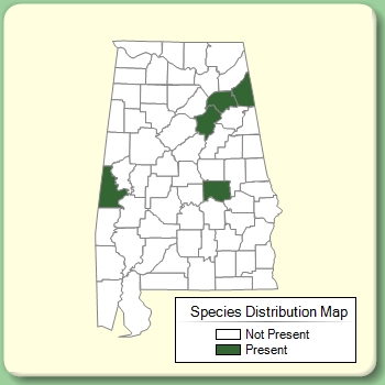 Species Distribution Map