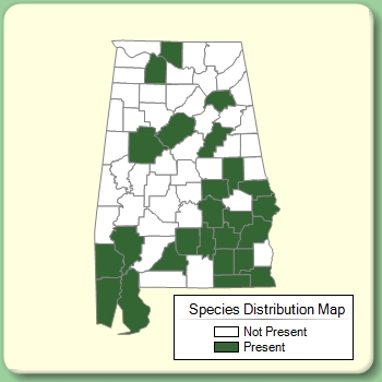 Species Distribution Map