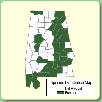 Species Distribution Map