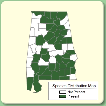 Species Distribution Map