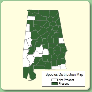 Species Distribution Map