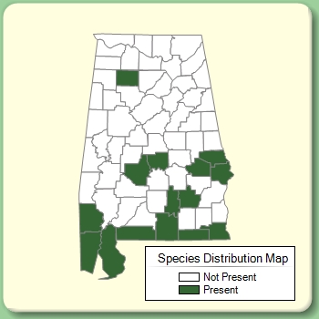 Species Distribution Map