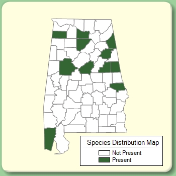 Species Distribution Map