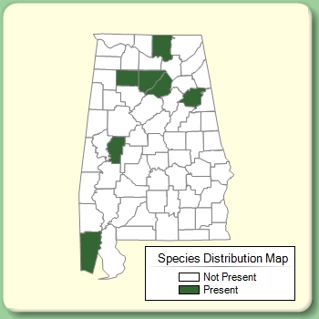 Species Distribution Map