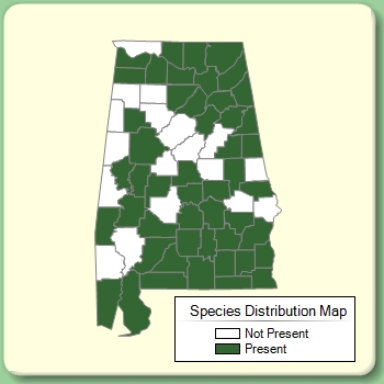 Species Distribution Map