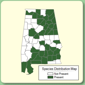 Species Distribution Map