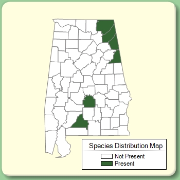 Species Distribution Map