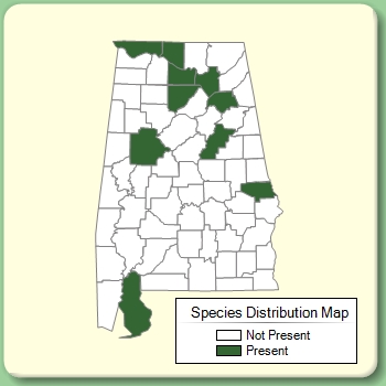 Species Distribution Map