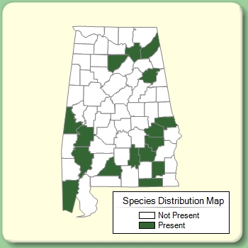 Species Distribution Map