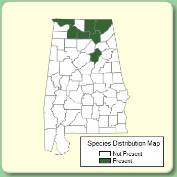 Species Distribution Map