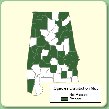 Species Distribution Map