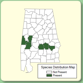 Species Distribution Map