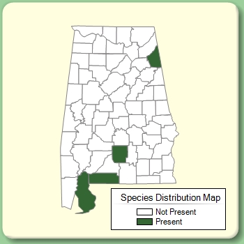 Species Distribution Map